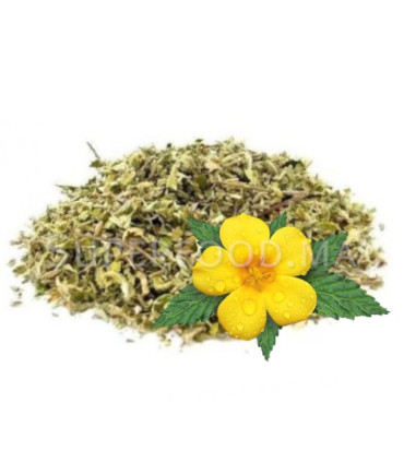 Tisane de Damiana, Aphrodisiaque. داميانا