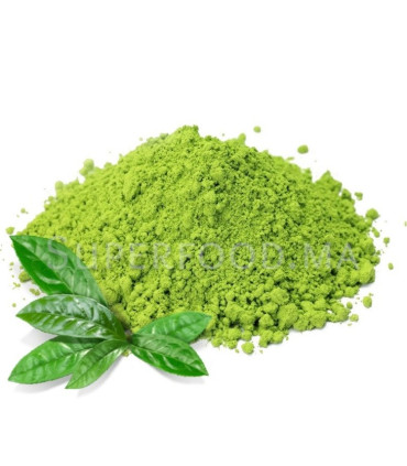 Thé Matcha Bio en poudre. Cérémonie de Chine ماتشا بيو