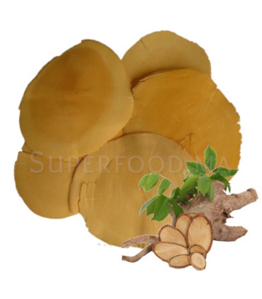 TONGKATALI Eurycoma longifolia ASA ALI, GINSENG MALAYSIEN, LONGJACK