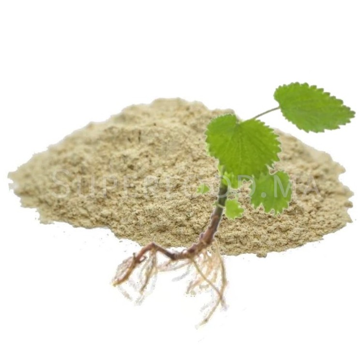 RACINE D'ORTIE EN POUDRE جذور القراص (الحريكة)