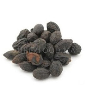 SAW PALMETTO, PALMIER NAIN DE FLORIDE, FRUIT DE SABAL