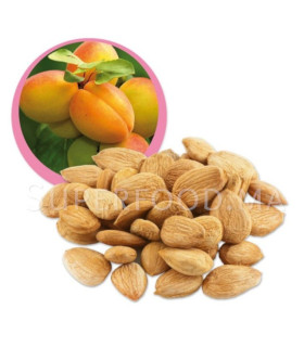 Amandes d'abricots amères - Vitamine B17 لوز المشماش المر
