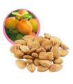Amandes d'abricots amères - Vitamine B17 لوز المشماش المر