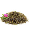 Cistus Incanus ( Ciste ) سيستوس انكانوس