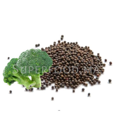 Graines de Brocoli بذور البروكولي