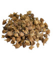 Tribulus terrestris تريبولوس تيريستريس