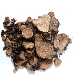 Rhodiola - Racine coupées - روديولا