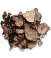 Rhodiola - Racine coupées - روديولا