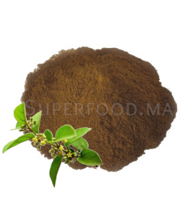 Gymnema sylvestre - جيمنيما سيلفاستريس