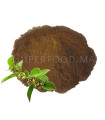 Gymnema sylvestre - La plante anti sucre - جيمنيما سيلفاستريس