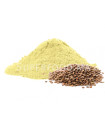 Farine de lentille طحين العدس
