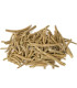 Ashwagandha Entier (ginseng indien) اشواغاندا