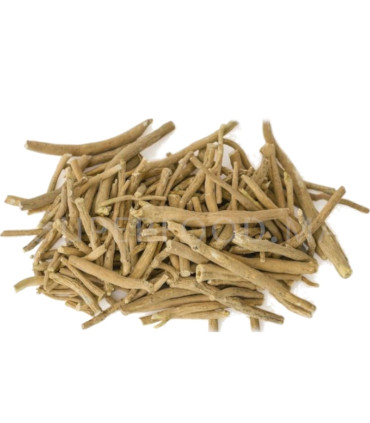 Ashwagandha Entier (ginseng indien) اشواغاندا