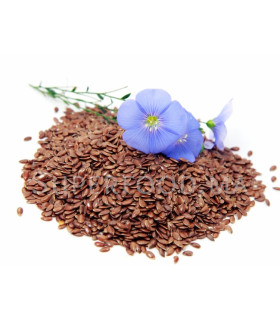 Graines de Lin بذور الكتان
