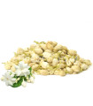 Boutons de Jasmin séché براعم الياسمين الفاخر