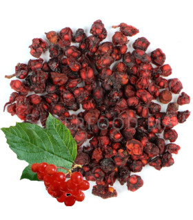 Baies de Schisandra  Wuwei zi  توت  الشيساندرا