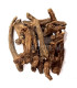 Costus Indien entier القسط الهندي