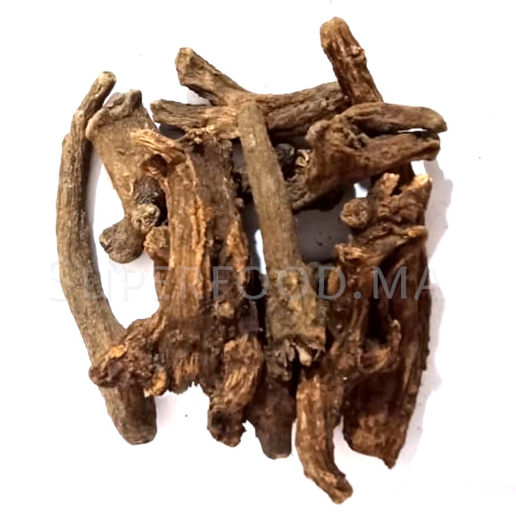 Costus Indien entier القسط الهندي