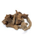 Costus Indien entier القسط الهندي