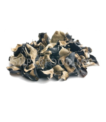 Champignon noir au maroc الفطر الاسود