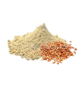 Farine de sorgho au Maroc دقيق السرغوم