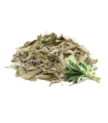 Sauge séchée au Maroc السالمية