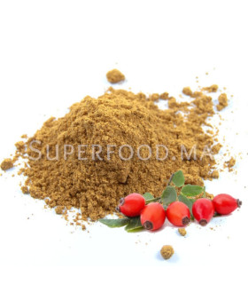 Cynorrhodon Baies de rose musquée au Maroc بودرة ثمر الورد