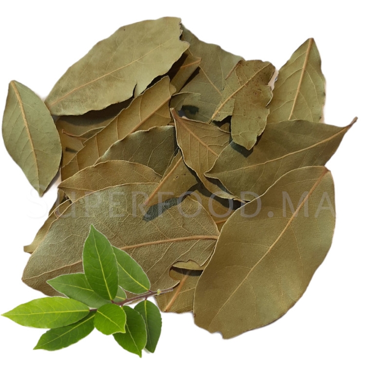 Feuilles de laurier au Maroc ورق سيدنا موسى