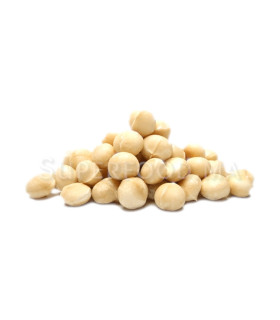 Noix de Macadamia au Maroc الماكاداميا