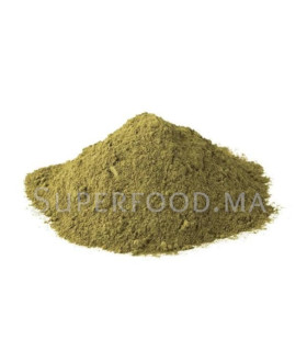 Brahmi en poudre au Maroc برهمي مطحون