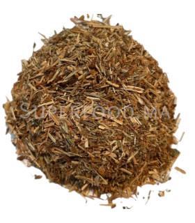 Tisane de millepertuis au Maroc نبتة سانت جون