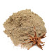 Harpagophytum  en poudre au Maroc  هارباجوفيتام