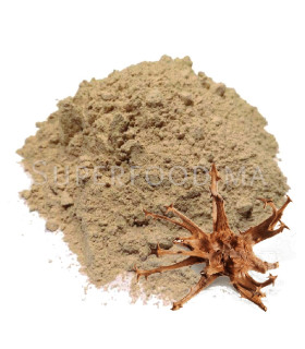Harpagophytum  en poudre au Maroc  هارباجوفيتام