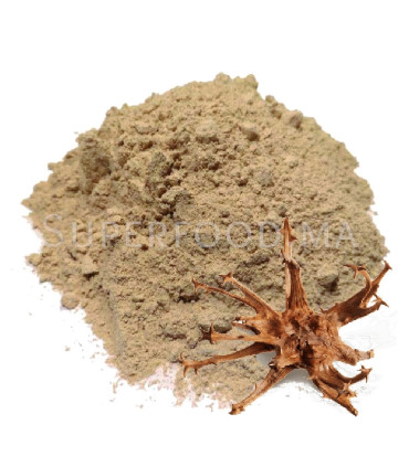 Harpagophytum  en poudre au Maroc  هارباجوفيتام