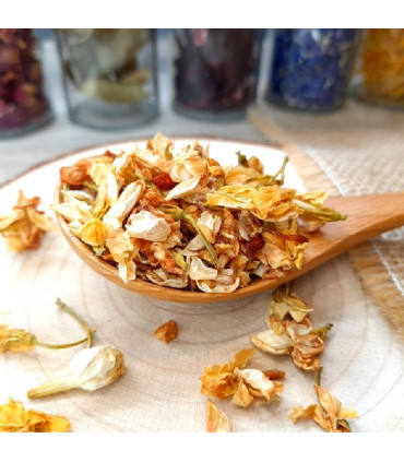 Boutons de Jasmin séché براعم الياسمين الفاخر