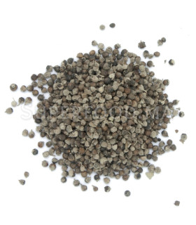 Graines de gattilier au Maroc بذور شجرة العفة