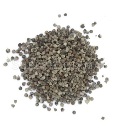Graines de gattilier au Maroc بذور شجرة العفة