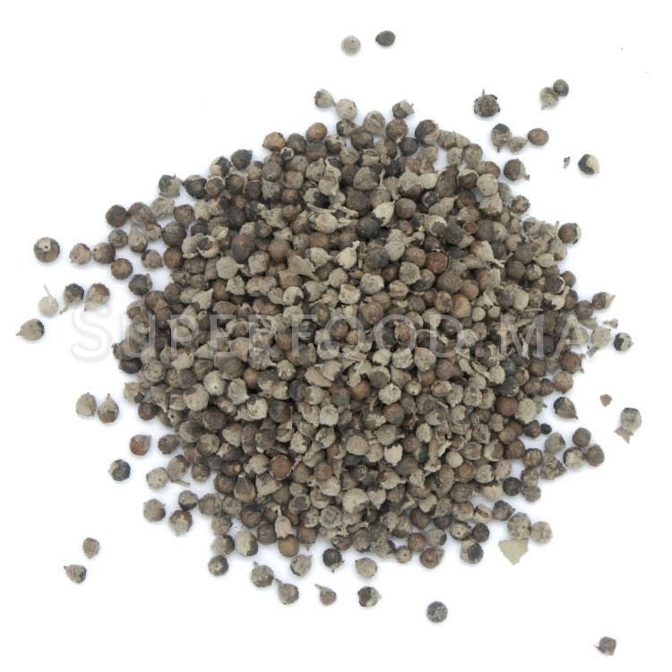 Graines de gattilier au Maroc بذور شجرة العفة