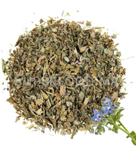 Tisane de bourrache au Maroc نبتة الحرشية - لسان الثور