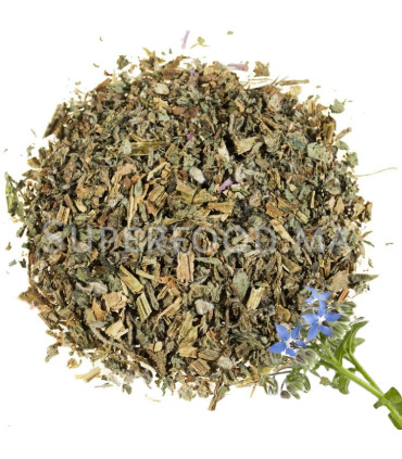 Tisane de bourrache au Maroc نبتة الحرشية - لسان الثور
