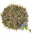 Tisane de bourrache au Maroc نبتة الحرشية - لسان الثور