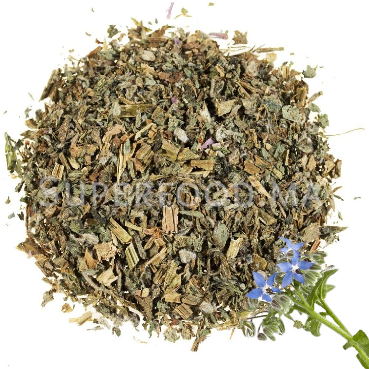 Tisane de bourrache au Maroc نبتة الحرشية - لسان الثور