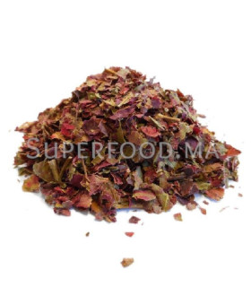 Feuilles de vigne rouge coupées au Maroc الكرمة الحمراء - اوراق العنب الاحمر
