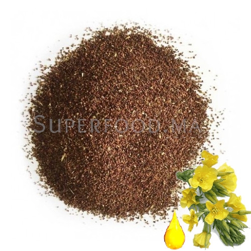 Graines d'onagre au Maroc حبوب زهرة الربيع المسائية