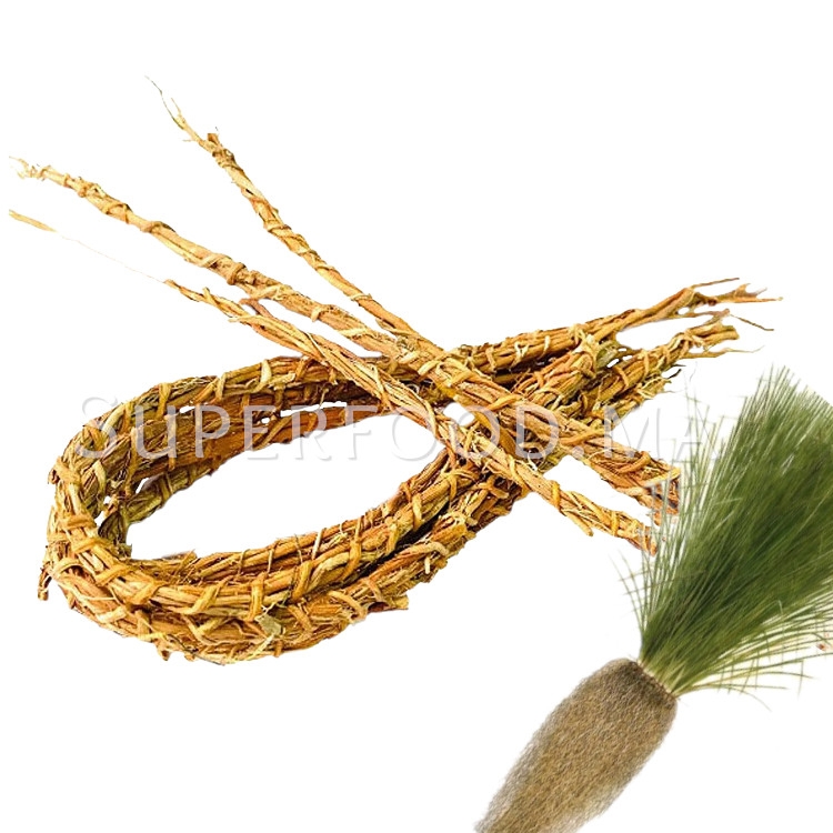 Tiges de vétiver, khamaré, gongoli, au Maroc