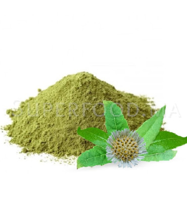 Bhringraj au Maroc برينغراج