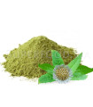 Bhringraj au Maroc برينغراج