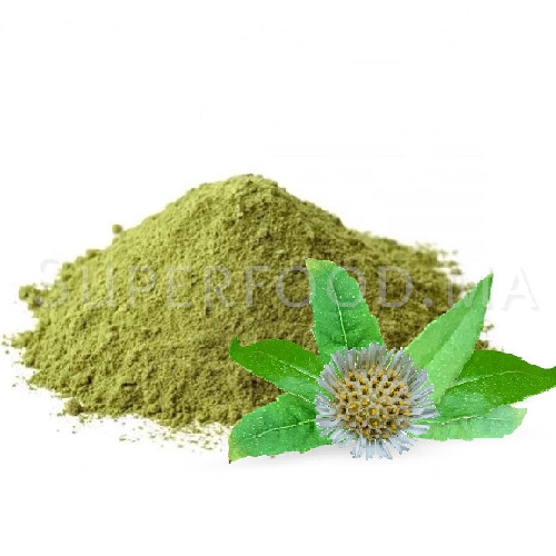 Bhringraj au Maroc برينغراج