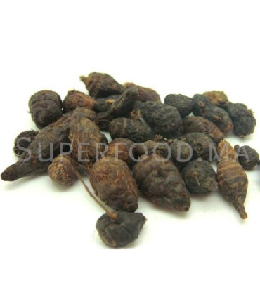 Gowé / Binahouché / Binafouti / Djiguiché au Maroc