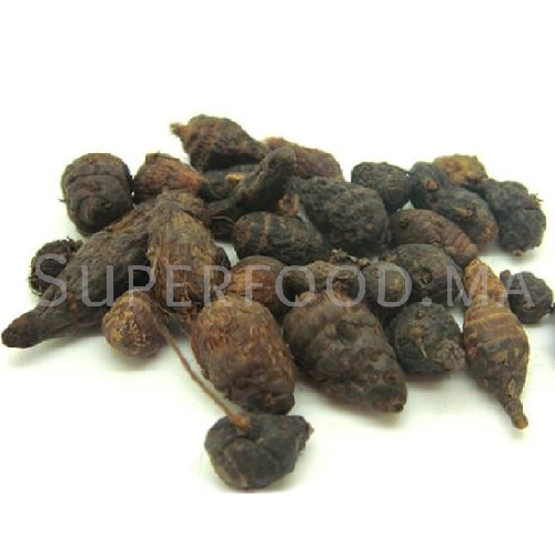 Gowé / Binahouché / Binafouti / Djiguiché au Maroc جووي